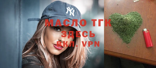 мдпв Елабуга