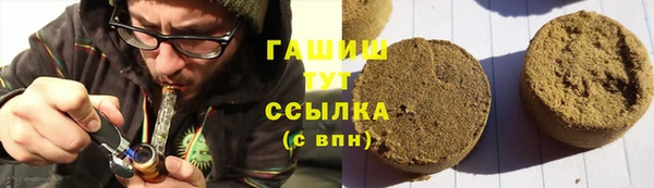 ГАЛЛЮЦИНОГЕННЫЕ ГРИБЫ Дмитриев