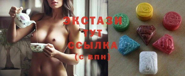 ГАЛЛЮЦИНОГЕННЫЕ ГРИБЫ Дмитриев