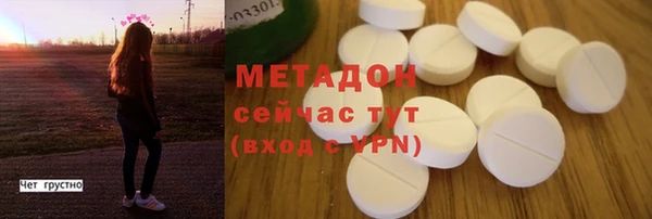 гидра Ельня
