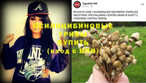 гидра Ельня