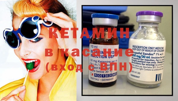 ГАЛЛЮЦИНОГЕННЫЕ ГРИБЫ Дмитриев