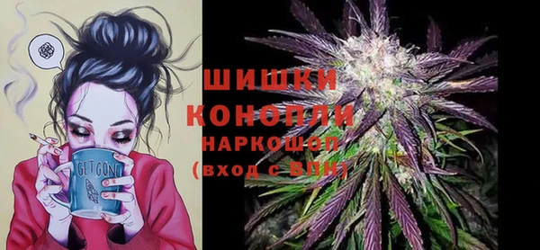 мдпв Елабуга