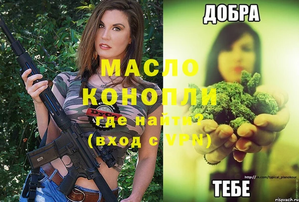 ГАЛЛЮЦИНОГЕННЫЕ ГРИБЫ Дмитриев