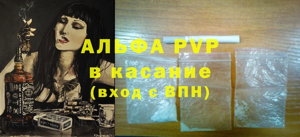 ГАЛЛЮЦИНОГЕННЫЕ ГРИБЫ Дмитриев