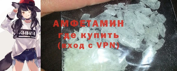 ГАЛЛЮЦИНОГЕННЫЕ ГРИБЫ Дмитриев