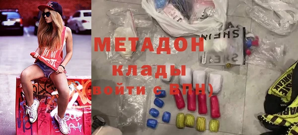 ГАЛЛЮЦИНОГЕННЫЕ ГРИБЫ Дмитриев