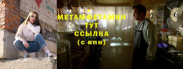 гидра Ельня