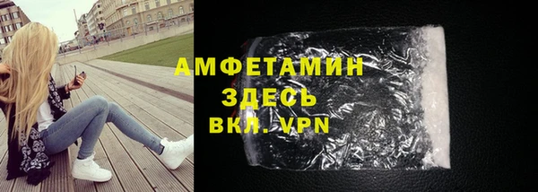 ГАЛЛЮЦИНОГЕННЫЕ ГРИБЫ Дмитриев